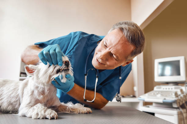 Best Pediatric Emergency Dentist in Perry, FL
