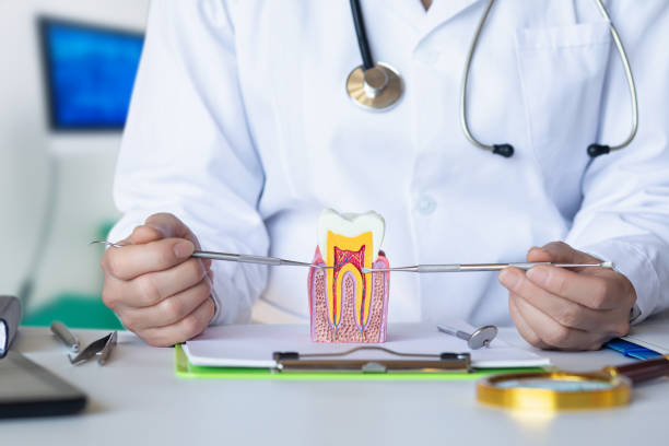 Best Emergency Broken Tooth Repair in Perry, FL